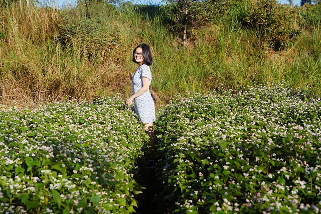 Đầu xuân, thiếu nữ đua sắc cùng hoa tam giác mạch xứ Bắc giữa lòng phố núi - 10 Đầu xuân, thiếu nữ đua sắc cùng hoa tam giác mạch xứ Bắc giữa lòng phố núi - 10