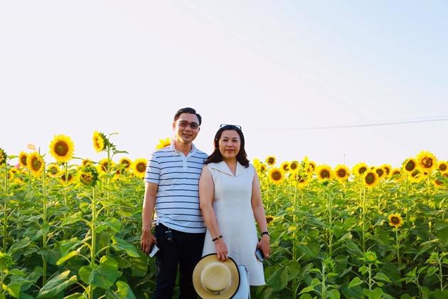 Check-in vườn hoa hướng dương rực rỡ ở Đồng Nai ngày đầu năm mới 2020 Ảnh 3