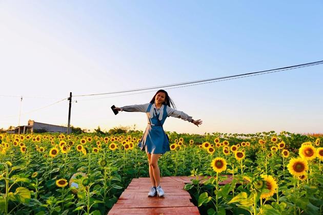 Check-in vườn hoa hướng dương rực rỡ ở Đồng Nai ngày đầu năm mới 2020 Ảnh 7