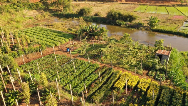 Đầu xuân, thiếu nữ đua sắc cùng hoa tam giác mạch xứ Bắc giữa lòng phố núi - 11 Đầu xuân, thiếu nữ đua sắc cùng hoa tam giác mạch xứ Bắc giữa lòng phố núi - 11