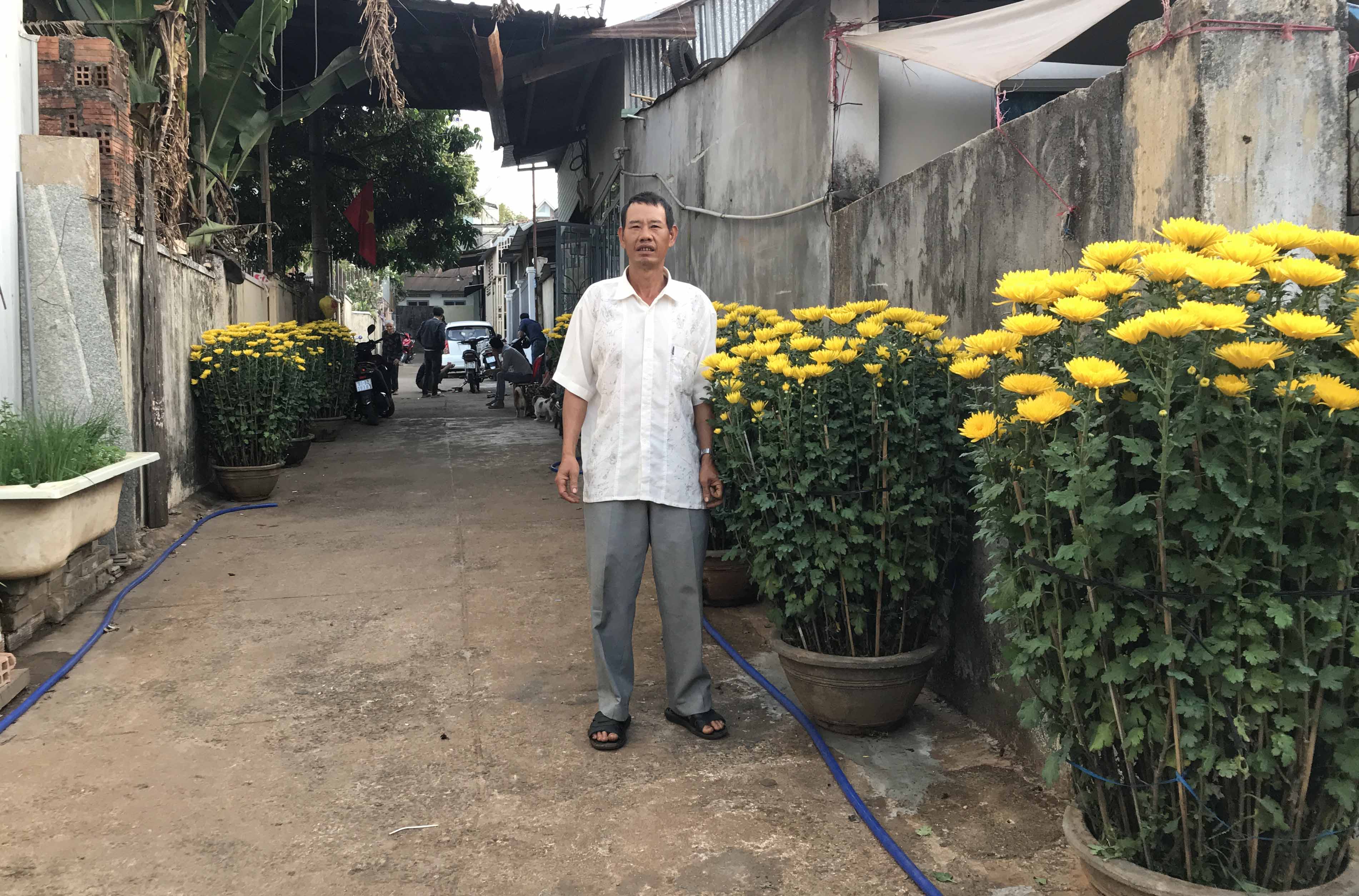 Ông Vũ Hùng Lá trước con hẻm vàng rực hoa cúc được cho. Ảnh: Hà Duy