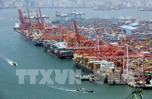 Kim ngạch xuất khẩu của Hàn Quốc lần đầu tiên giảm hai con số Ảnh 1
