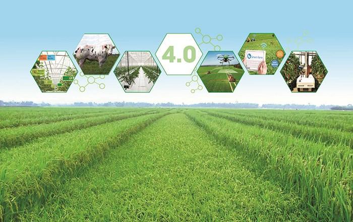 Mô hình tích hợp giải thích ý định cấp tín dụng cho sản xuất nông nghiệp ứng dụng công nghệ cao Ảnh 1