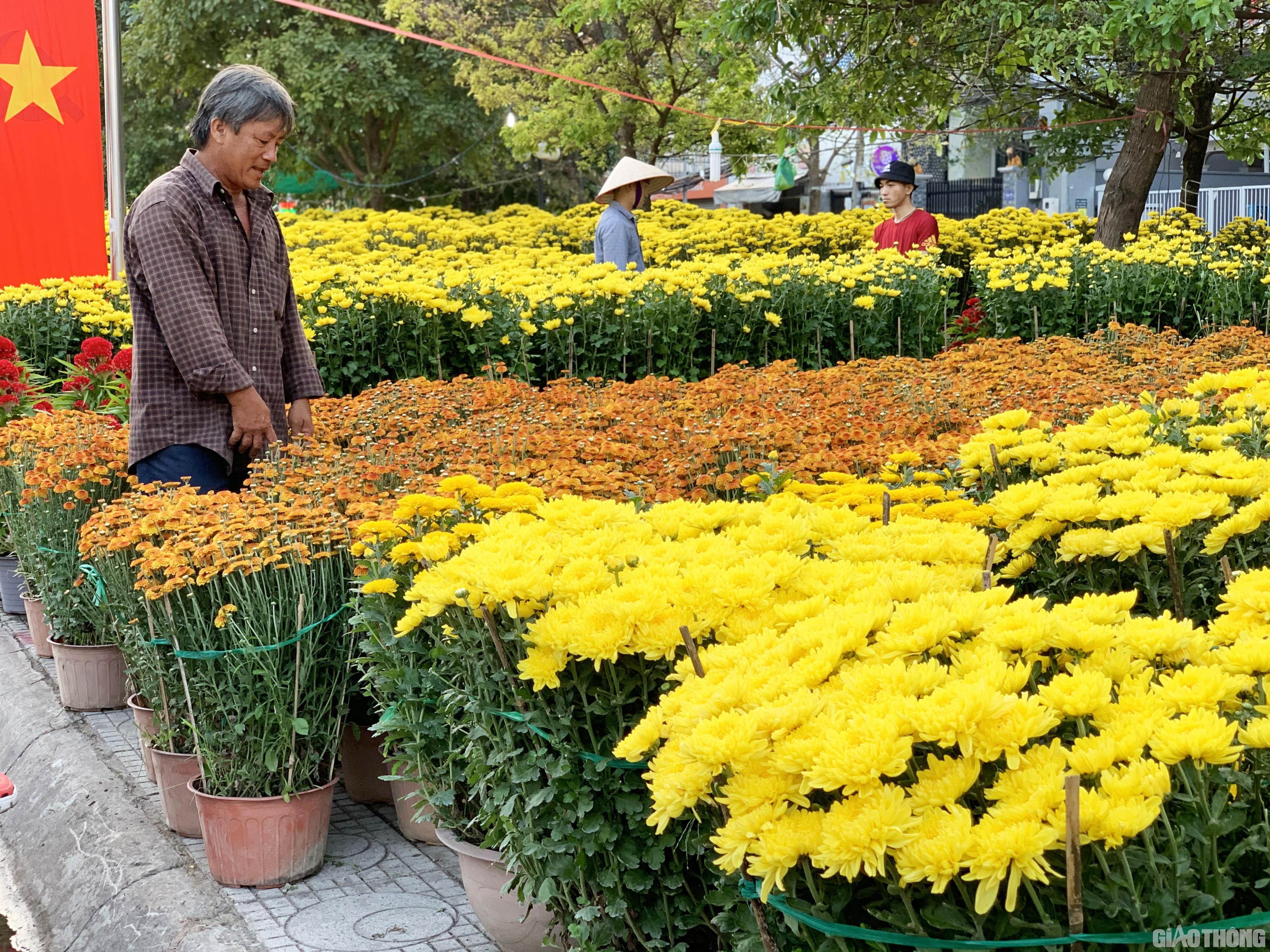 Nhộn nhịp hoa Tết ngoại thành Sài Gòn Ảnh 1