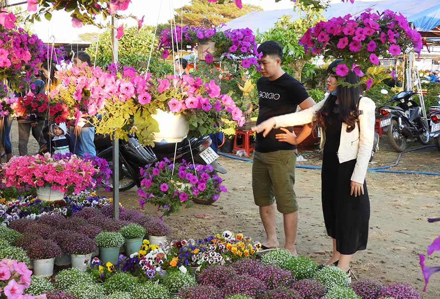 Chợ hoa xuân tại thành phố Pleiku. Ảnh: Thanh Nhật vbtt 02