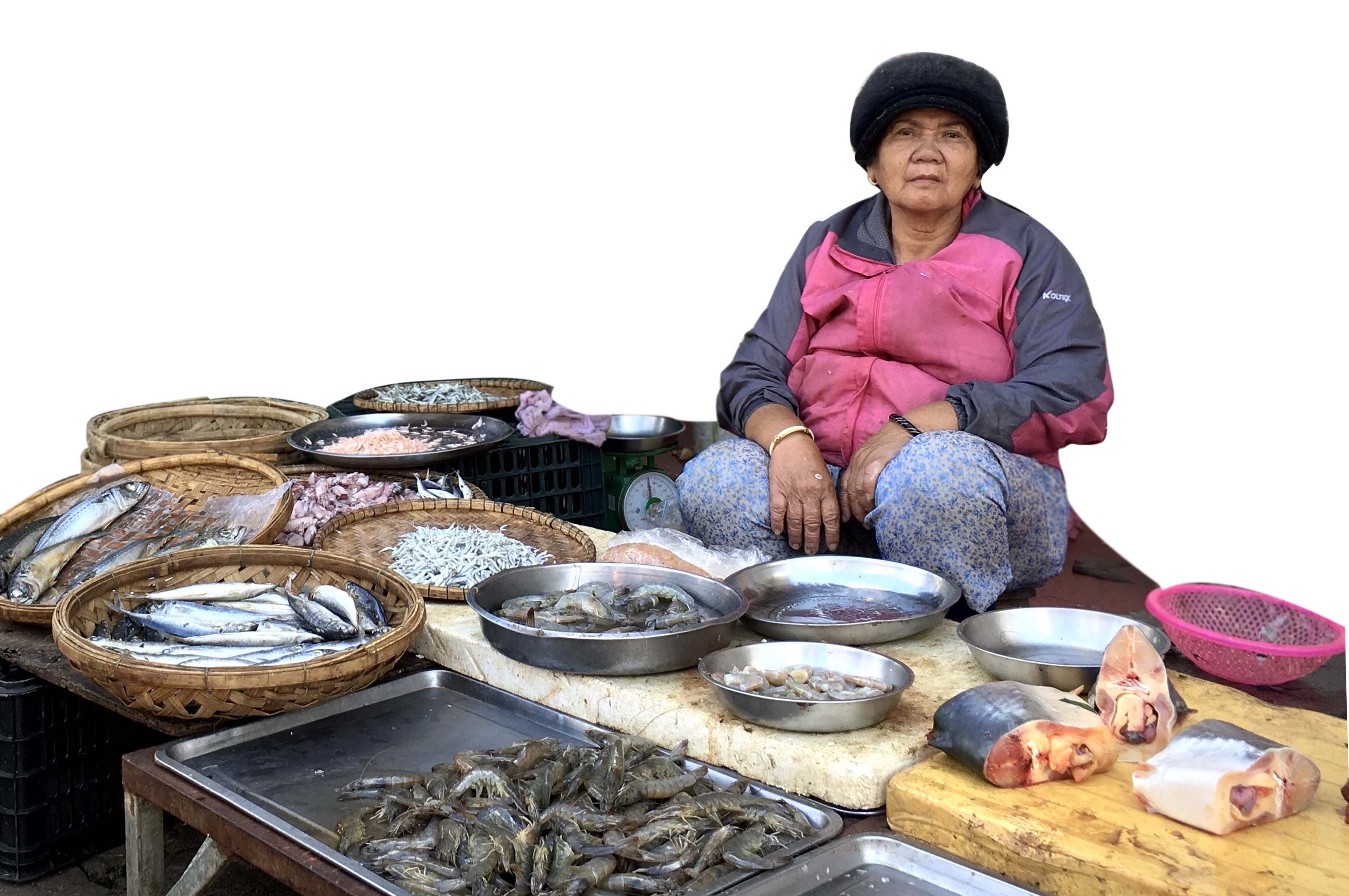 Gần 30 năm nay, bà Lê Thị Nữ vẫn bán tôm cá ở chợ Bà Định. Ảnh: L.H
