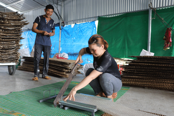 Mỗi năm gia đình anh Nguyễn Văn Út (thôn An Điền Bắc, xã Cửu An) thu nhập từ nghề tráng bánh tráng từ 18-21 triệu đồng. Ảnh: N.M