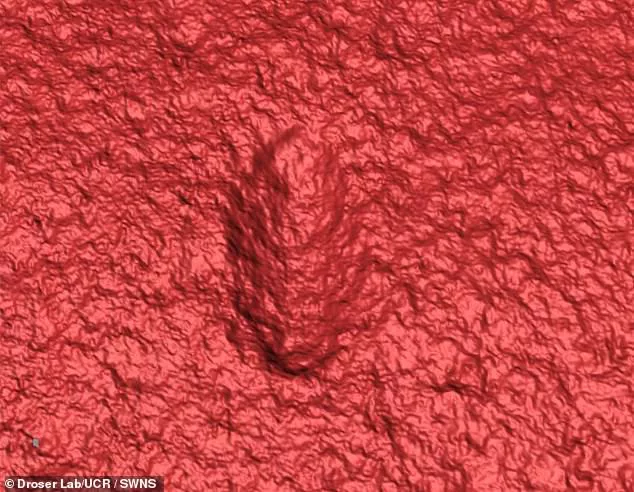 Công nghệ laser của NASA đã giúp nhóm nghiên cứu tìm thấy 