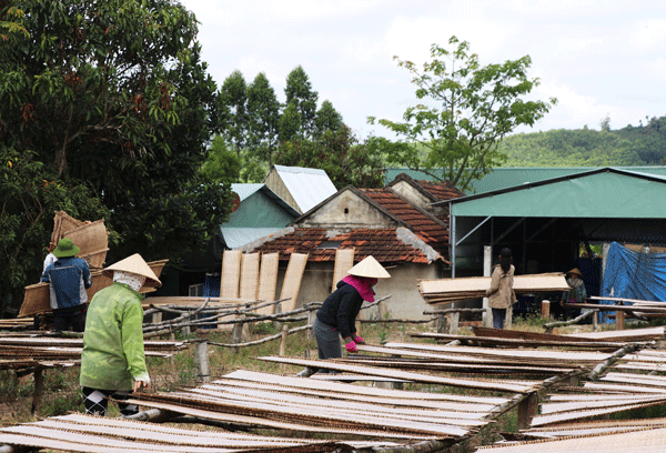 Những cơ sở sản xuất bánh tráng, bún phở khô trên địa bàn xã Cửu An không chỉ góp phần giải quyết công ăn việc làm trong những lúc nông nhàn, còn nâng cao giá trị, đầu ra cho hạt gạo. Ảnh: N.M