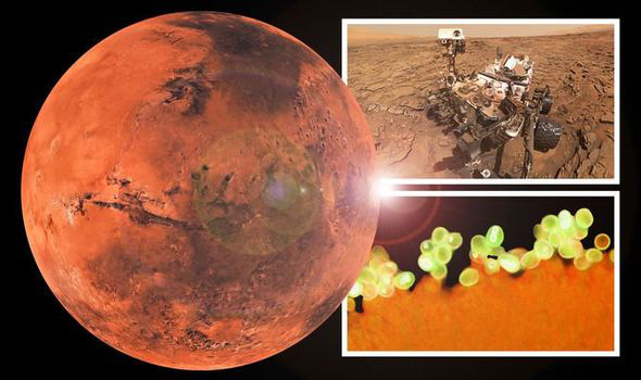 Sao Hỏa có nhiều dạng chất hữu cơ kỳ lạ, có loại tương đồng trái đất - ảnh: DAILY EXPRESS