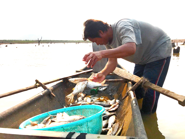 Hồ Ayun Hạ trù phú mang lại nguồn lợi thủy sản lớn cho người dân. Ảnh: V.N vbtt