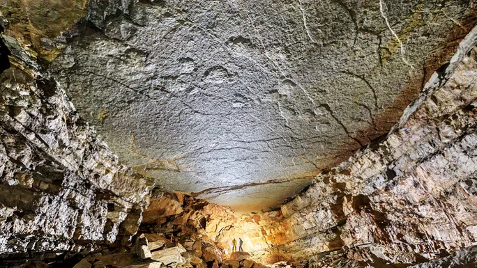 Dấu vết kỳ lạ rõ ràng của loài khủng long nhưng xuất hiện một cách vô lý trên trần hang động ở Pháp - ảnh do nhóm nghiên cứu cung cấp