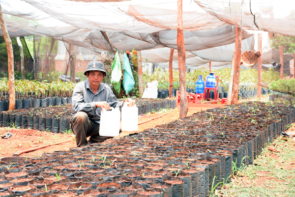 UBND huyện Chư Pưh đề nghị Sở Nông nghiệp và PTNT kiểm tính pháp lý của đại lý bán lẻ cung cấp phân bón cho người dân. Ảnh: M.N