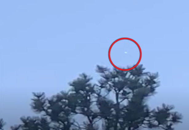 UFO bí ẩn màu trắng bay phía trên ngọn cây.