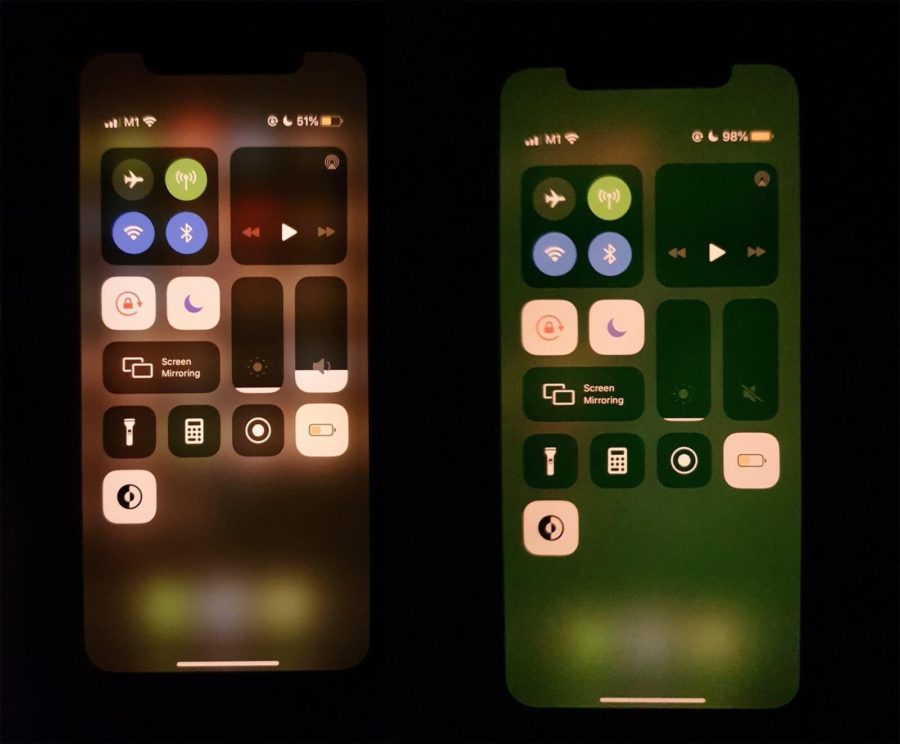 iPhone 11, 11 Pro và 11 Pro Max bị lỗi màn hình xanh? Ảnh 1