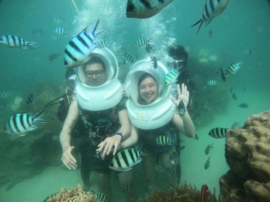 Trải nghiệm lặn biển ngắm san hô trên đảo ngọc Phú Quốc Ảnh 4
