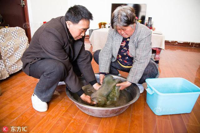 Lão nông biến thành tỷ phú chỉ sau 1 đêm nhờ 'hốt' được 'sinh vật' bầy nhầy quái dị Ảnh 3
