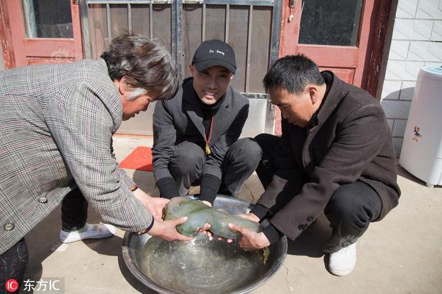 Lão nông biến thành tỷ phú chỉ sau 1 đêm nhờ 'hốt' được 'sinh vật' bầy nhầy quái dị Ảnh 2