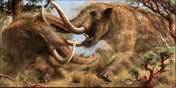 Ảnh đồ họa mô tả voi răng mấu mastodon - ảnh: WESTERN SCIENCE CENTER