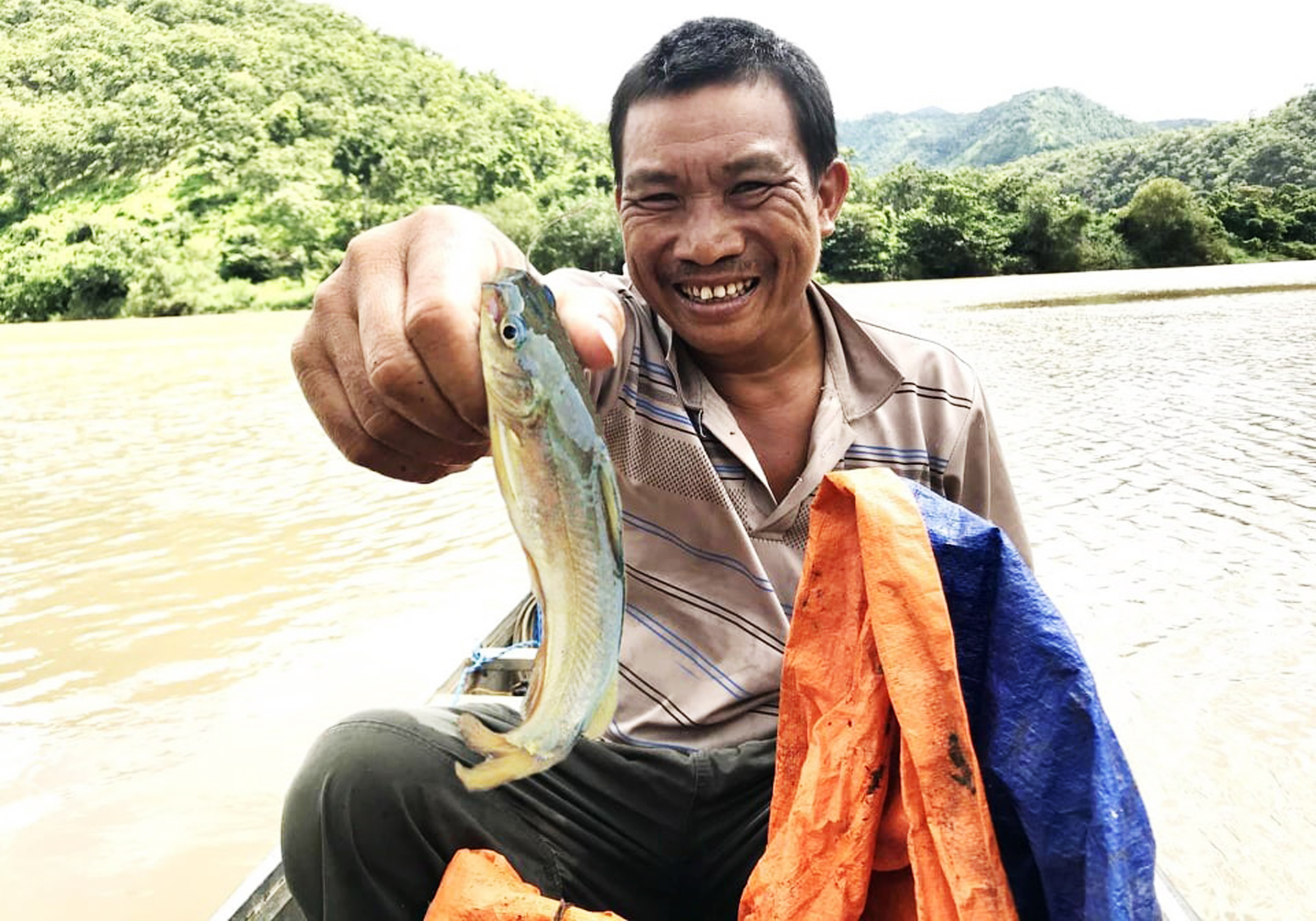 Theo ông Huỳnh Văn Tấn, mùa cá chốt rộ nhất là vào tháng Giêng. Những hôm trúng mánh, cá chốt dính đầy lưới, gỡ không xuể. Ảnh: Minh Nguyễn