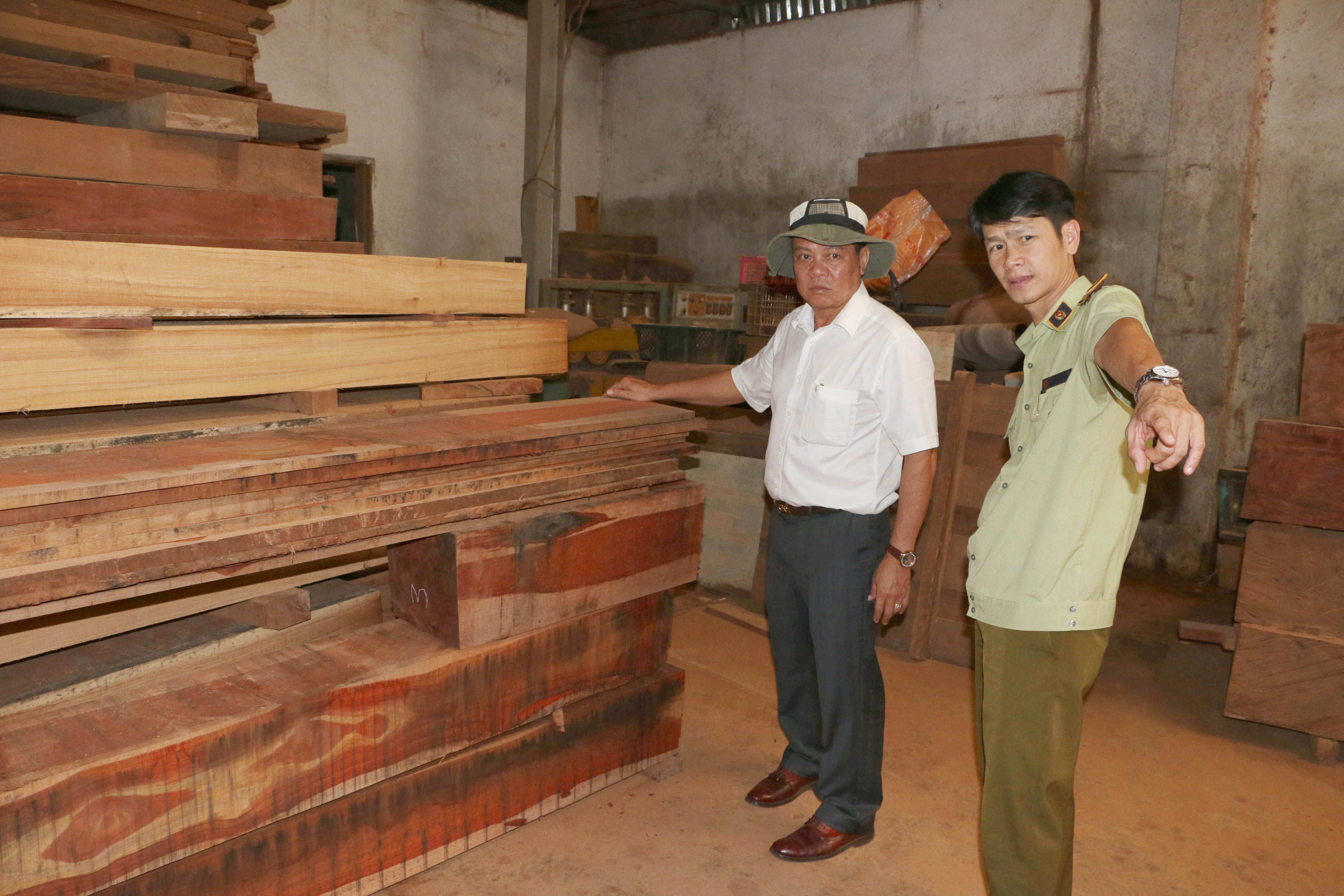Theo ghi nhận của đoàn công tác, có khá nhiều cơ sở sử dụng gỗ rừng tự nhiên để gia công, chế biến. Ảnh: Quang Tấn