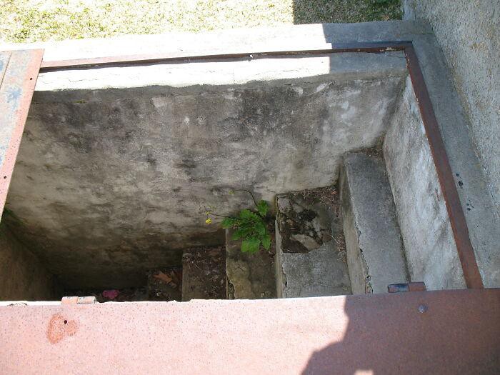 Lối nhỏ đặc biệt sát phần mộ 149 năm tuổi khiến dân tình tò mò nhưng lý do đằng sau lại khiến ai nấy bật khóc Ảnh 5