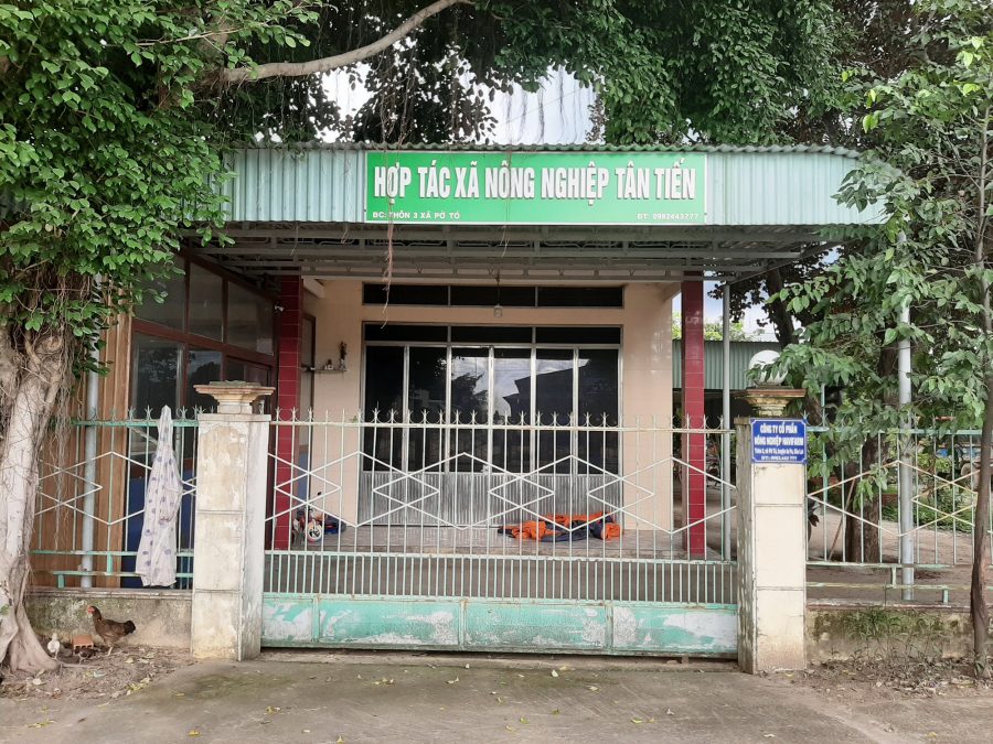 Một HTX thua lỗ liên tục được huyện cấp ngân sách tiền tỷ - Ảnh 1. Một HTX thua lỗ liên tục được huyện cấp ngân sách tiền tỷ - Ảnh 1.