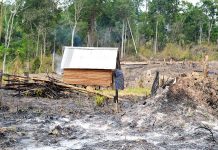 Ban Quản lý rừng phòng hộ xã Nam để 8 hộ dân xây nhà trên đất lâm nghiệp