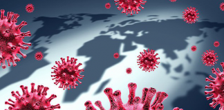 Ước tính 850.000 loại virus chưa được phát hiện ở động vật có thể lây nhiễm sang người - Ảnh: SHUTTERSTOCK