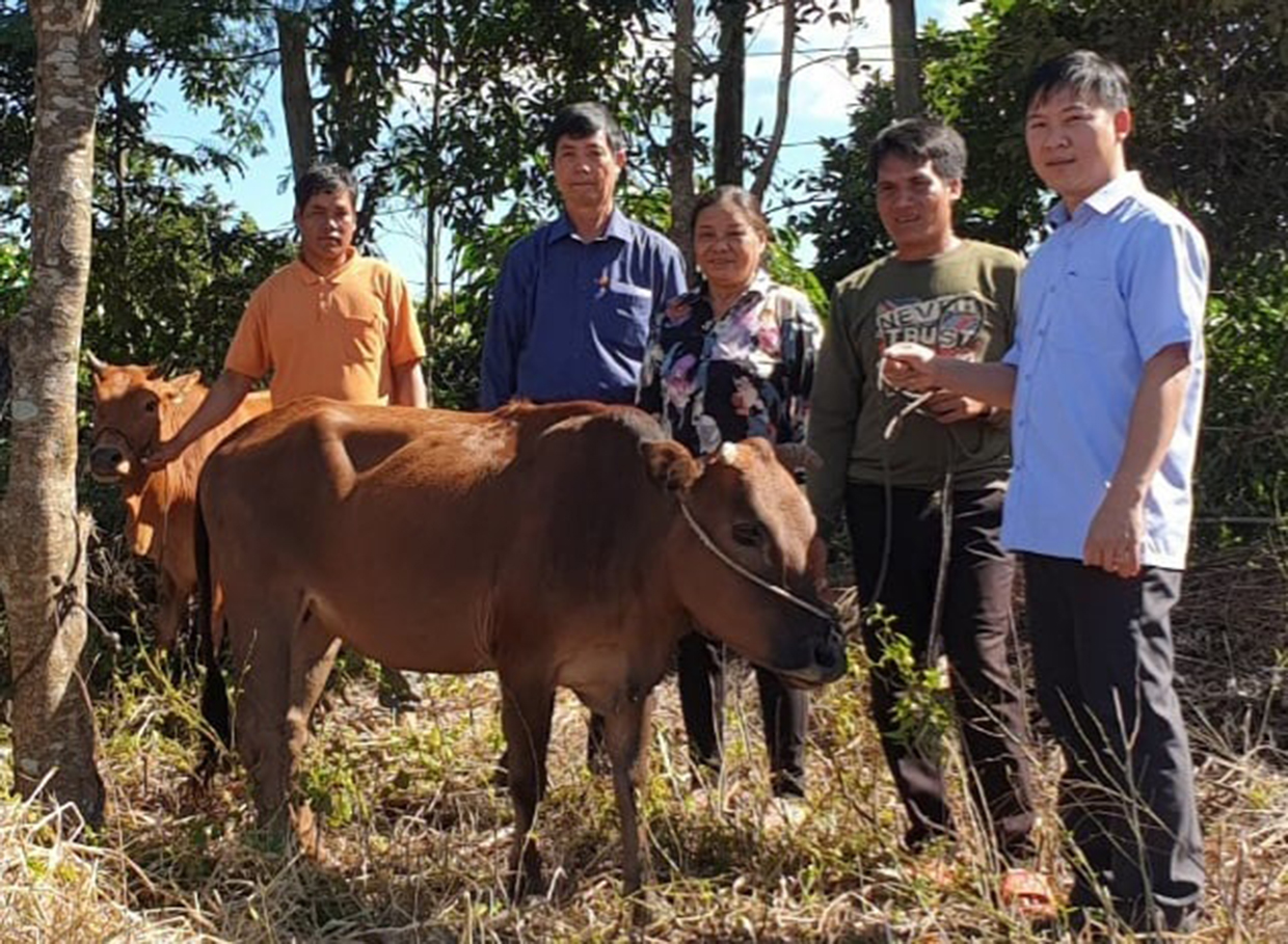  Ông Nguyễn Xuân Thủy-Chủ tịch Hội Nạn nhân CĐDC đứng thứ hai từ trái sang phải tặng bò cho 2 hộ gia đình nạn nhân làng Klah, xã Al Bá (Chư Sê). Ảnh: Hoàng Viên