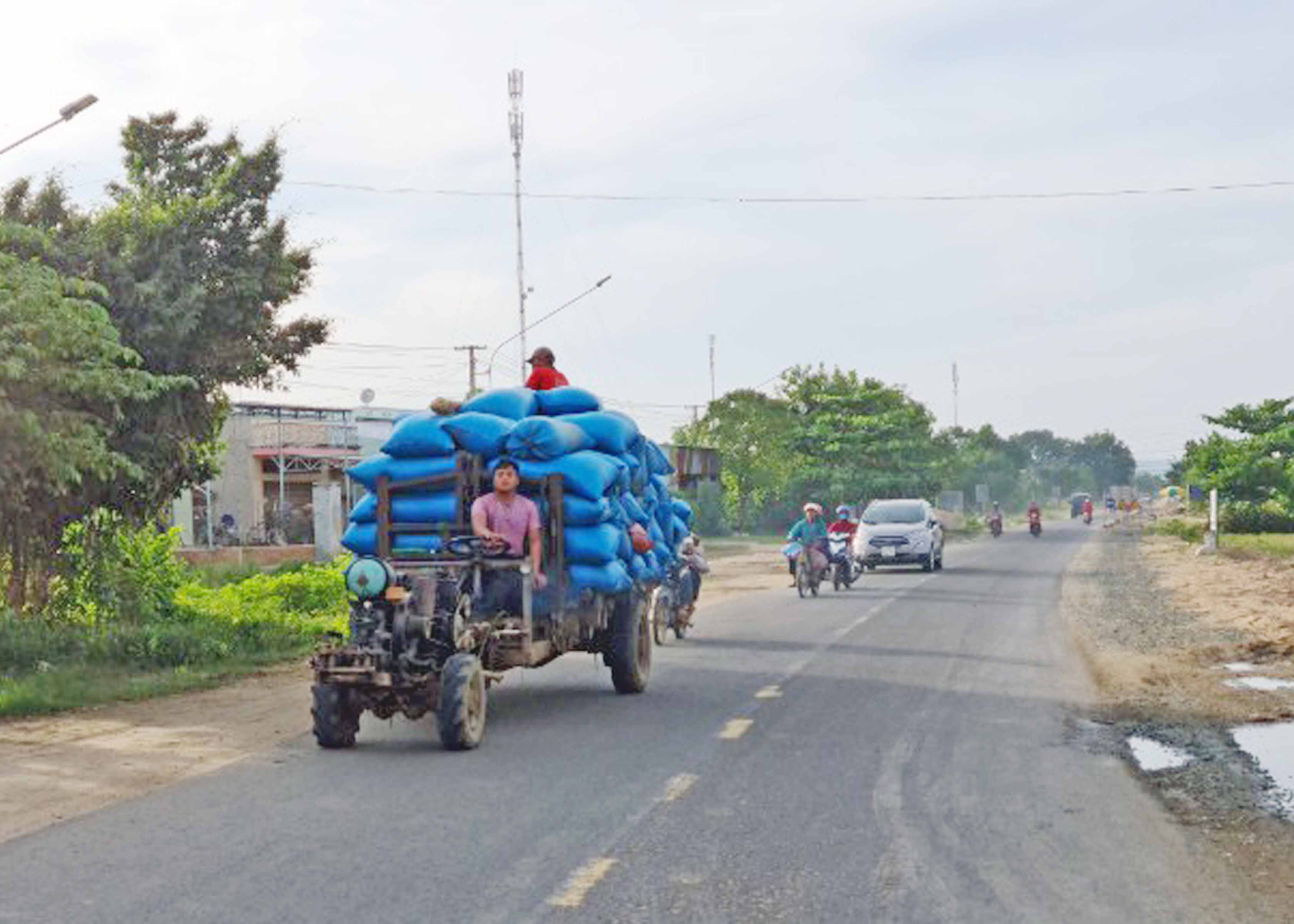 Xe công nông chở lúa lưu thông trên quốc lộ 25, đoạn qua xã Ia Sol (huyện Phú Thiện). Ảnh: Phạm Ngọc