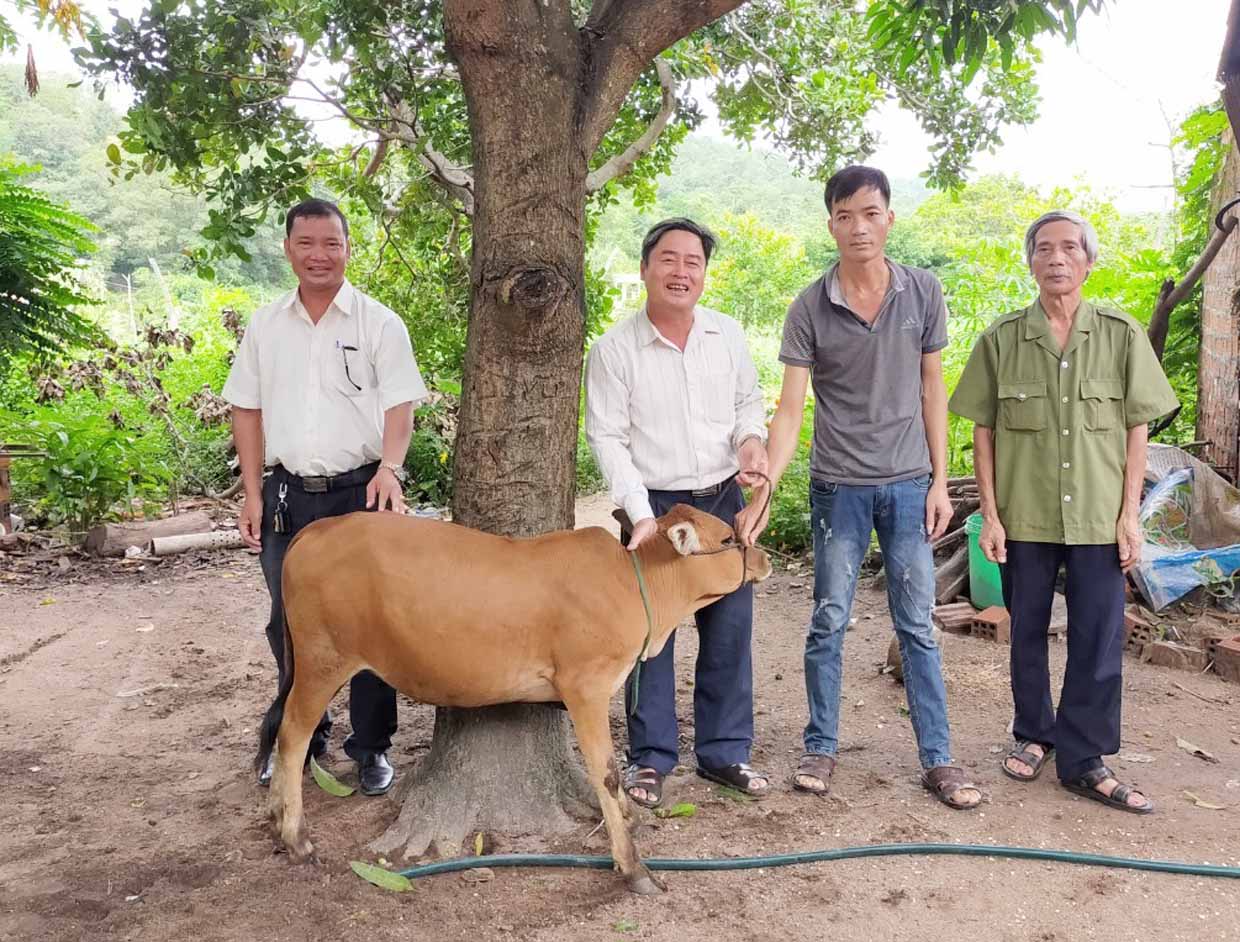 Hội CTĐ huyện Phú Thiện trao bò giống sinh sản cho hộ nghèo. Ảnh: Hồng Ngọc