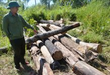 Chư Prông: Khẩn trương truy tìm đối tượng phá rừng