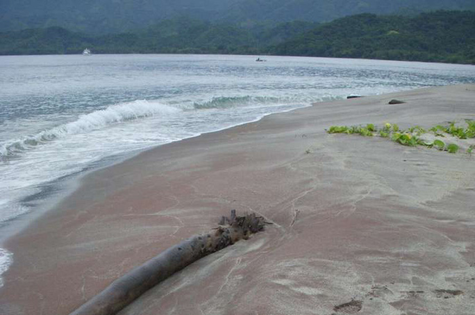 Cát ngọc hồng lựu trên bờ biển một hòn đảo thuộc Papua New Guinea - Ảnh do nhóm nghiên cứu cung cấp