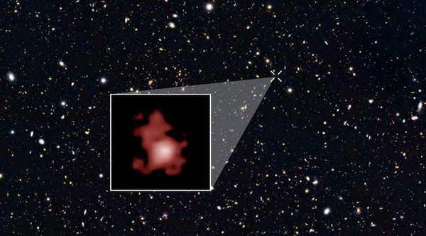 Thiên hà GN-z11 (màu đỏ) trong bức ảnh hiếm hoi - Ảnh: NASA