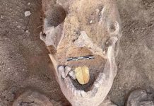 Phát hiện kinh ngạc về xác ướp có chiếc lưỡi vàng