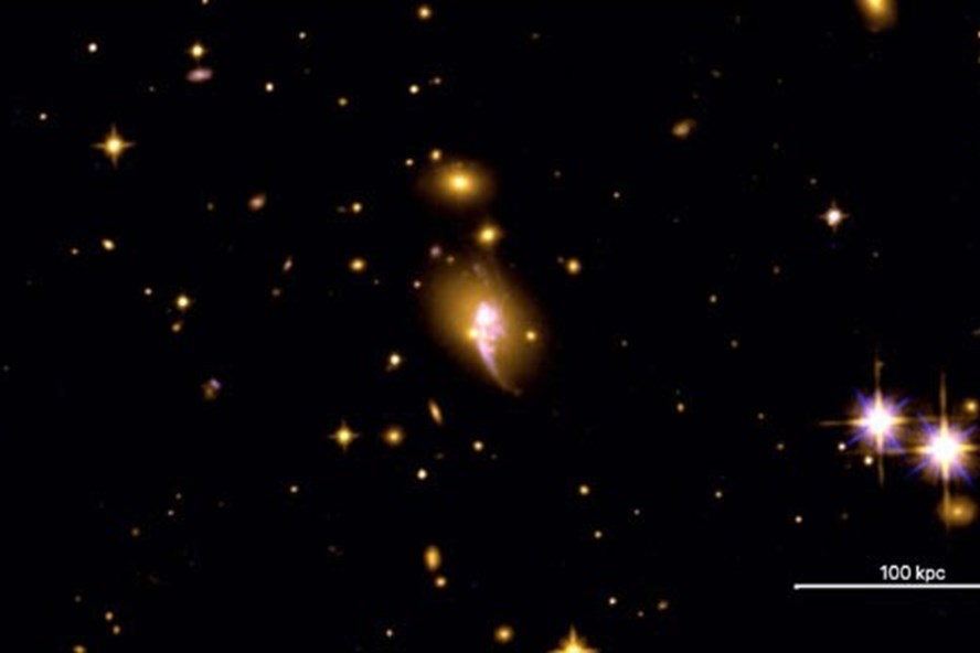 Hình ảnh qua kính viễn vọng không gian Hubble về cụm thiên hà CHIPS1911+4455. Ảnh: NASA