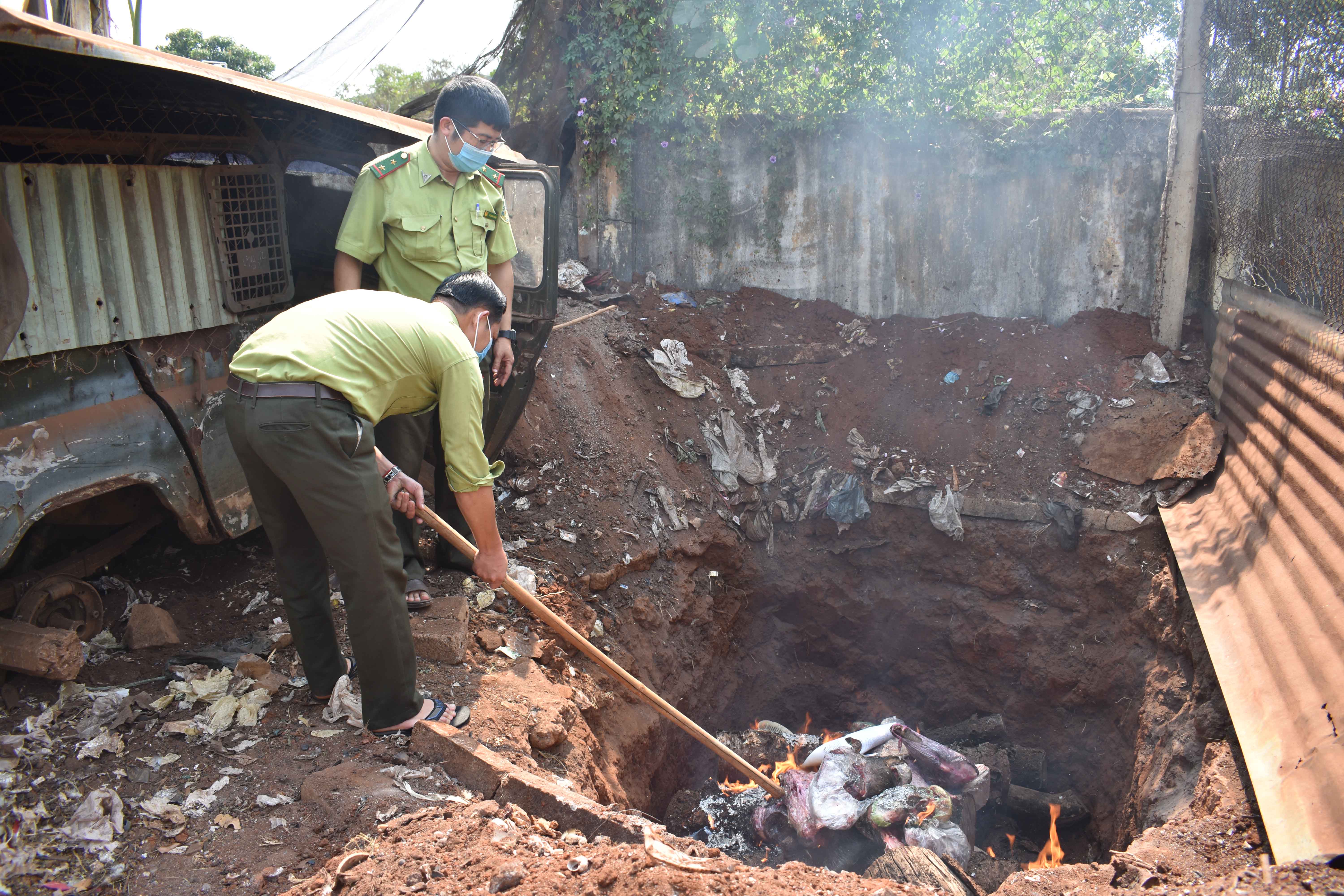 Hạt kiểm lâm huyện Ia Grai tiêu hủy 120 kg thịt heo rừng không rõ nguồn gốc. Ảnh Phan Thương