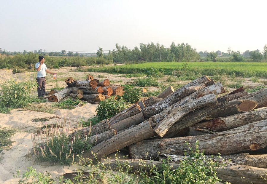 Phóng viên Báo Gia Lai phát hiện một lượng lớn củi rừng tự nhiên tại thôn Bình Hòa (xã Chư Răng, huyện Ia Pa). Ảnh: Quang Tấn