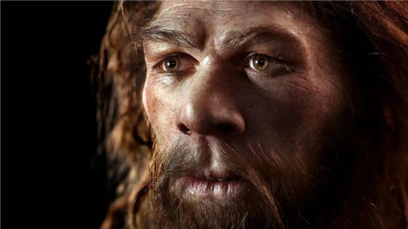 Người Neanderthals được coi là một loài 