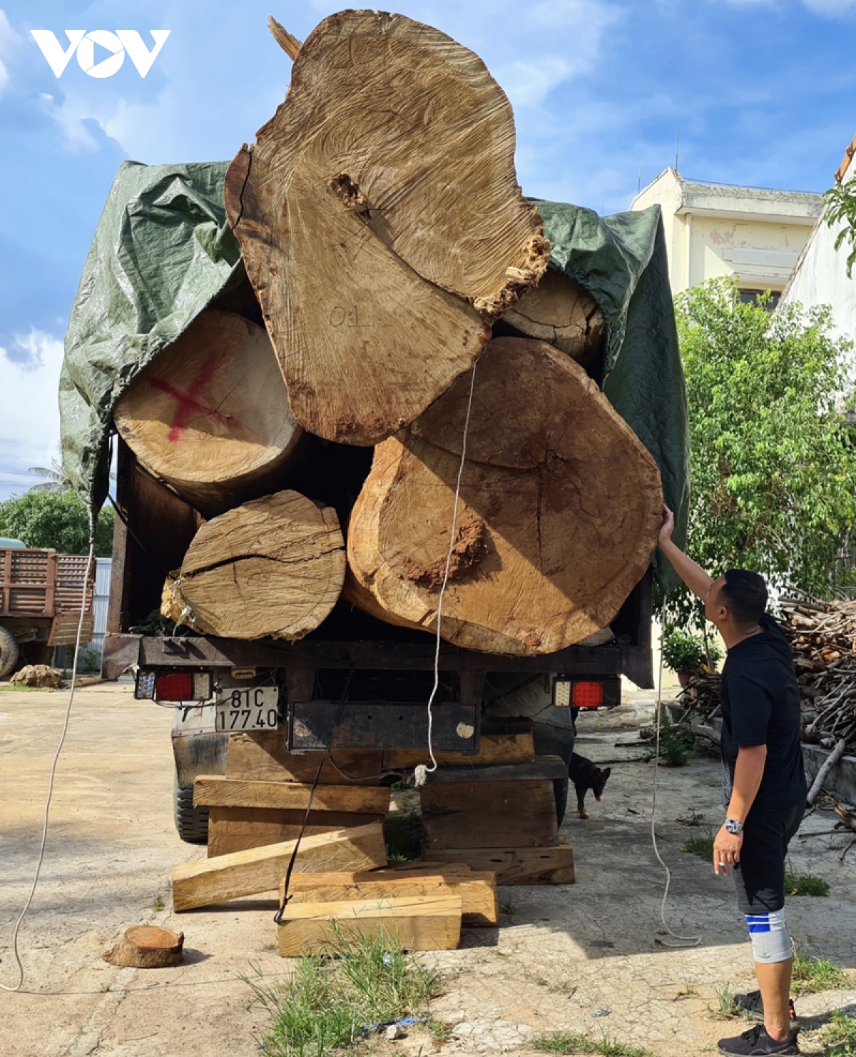 Nhằm nguỵ tạo nguồn gốc hợp pháp cho xe gỗ dổi hơn 21 mét khối khai thác trái phép, doanh nghiệp Giao Trang (thị trấn Kbang, huyện Kbang) đã xuất trình bộ hồ sơ nguồn gốc gỗ từ năm 2015. 3