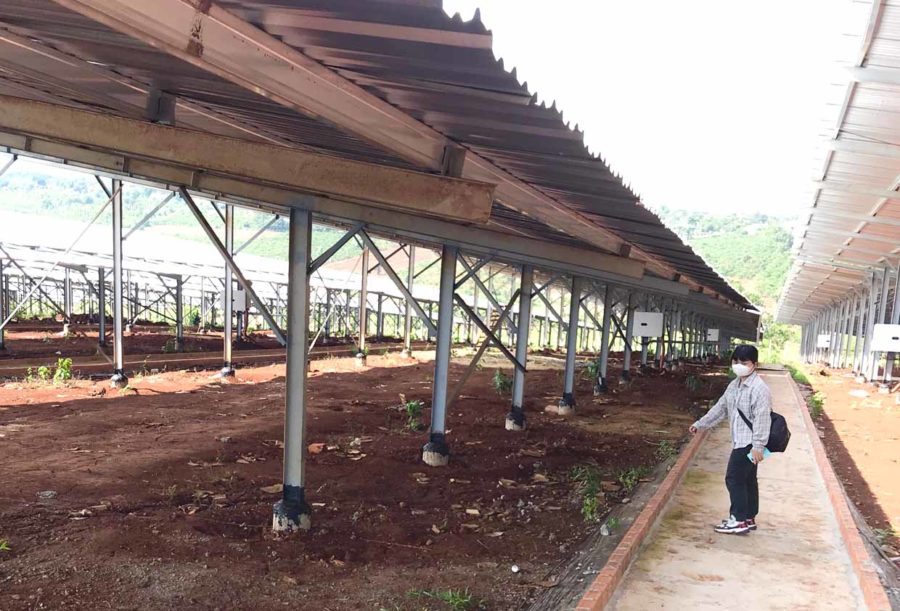 Công ty TNHH một thành viên Năng lượng xanh Tuy Phước (xã Ia Kriêng, huyện Đức Cơ) đã hoàn thành hạ tầng để nuôi trùn quế. Ảnh: Hà Duy