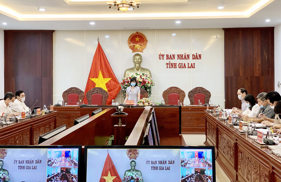  Phó Chủ tịch UBND tỉnh Nguyễn Thị Thanh Lịch phát biểu tại cuộc họp. Ảnh: Như Nguyện