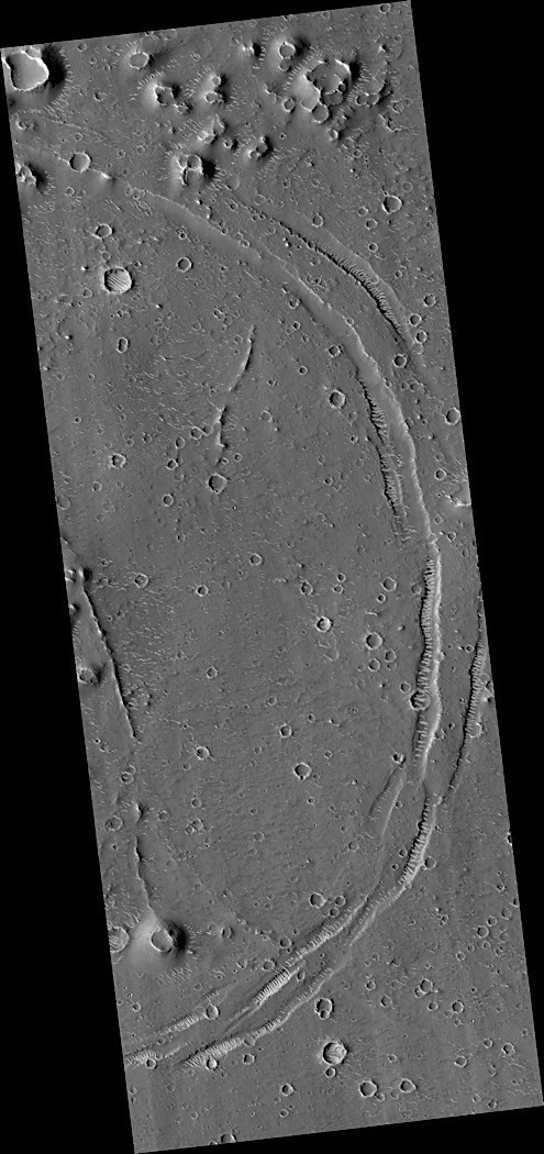 Miệng núi lửa ma và những vòng tròn trên sao Hỏa. Ảnh: HiRISE