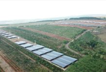 Vi phạm điện mặt trời ở Gia Lai: Khó xử lý trách nhiệm