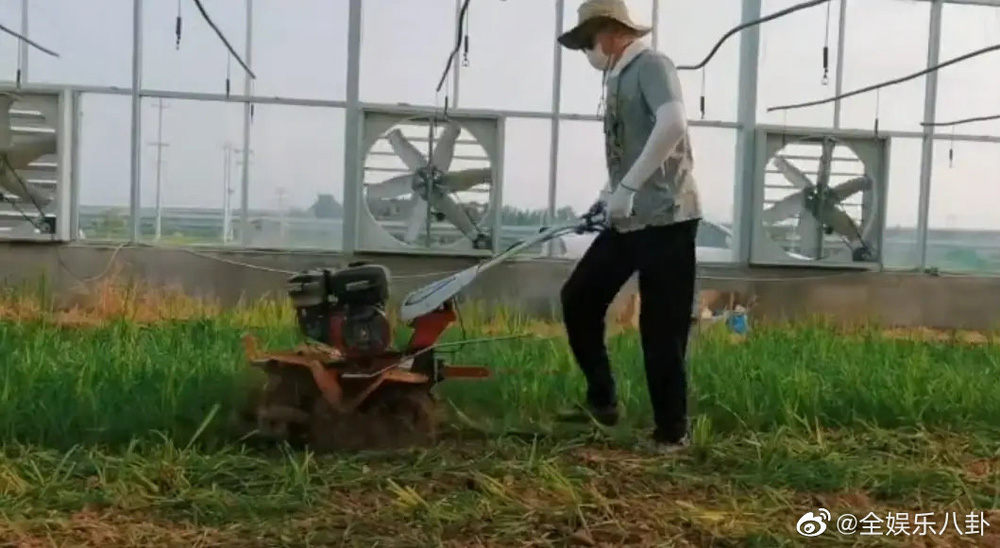 Hư Trúc 'Thiên long bát bộ': Nghiện ngập, tù tội, bị bạn gái bỏ rơi, đành về quê làm nông, cuộc sống giờ ra sao? - 9 Hư Trúc 'Thiên long bát bộ': Nghiện ngập, tù tội, bị bạn gái bỏ rơi, đành về quê làm nông, cuộc sống giờ ra sao? - 9