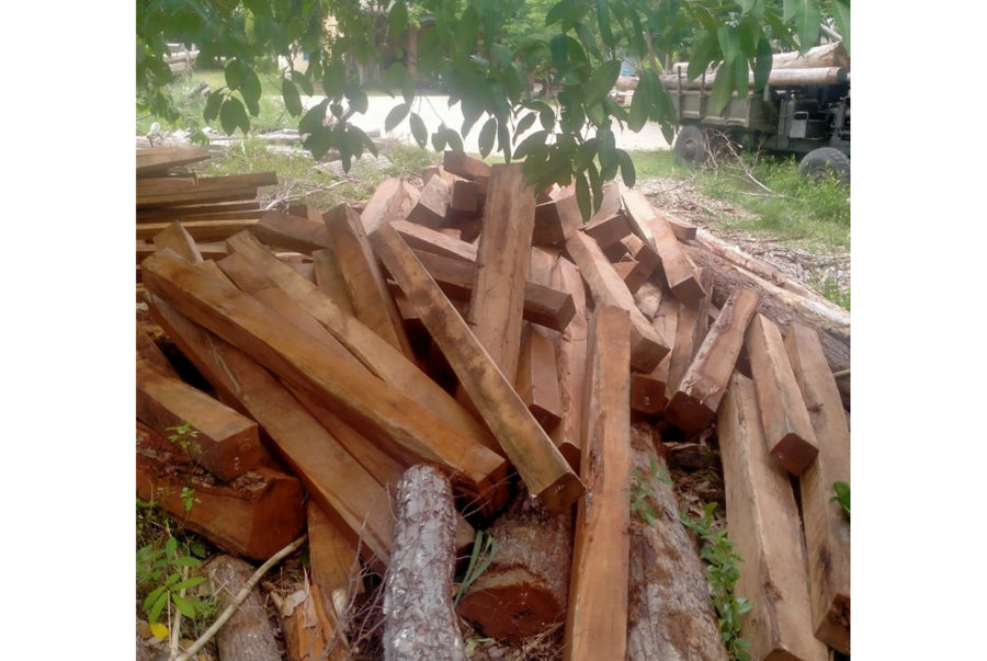  Số gỗ tang vật được đưa về Hạt Kiểm lâm huyện Ia Pa để tiếp tục điều tra theo quy định của pháp luật. Ảnh: Lê Anh
