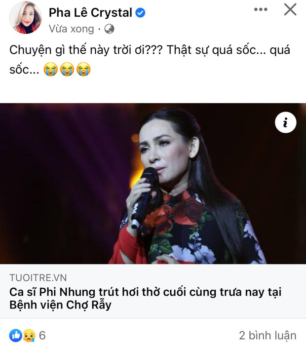 Showbiz Việt ngập trong nước mắt khi hay tin Phi Nhung qua đời vì Covid-19 - 3