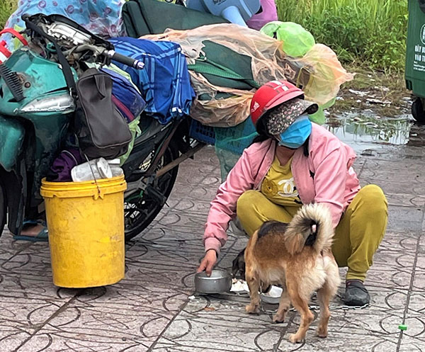 Vụ 15 con chó bị tiêu hủy ở Cà Mau: Một người không liên quan ở Đồng Nai liên tục bị gọi điện chửi bới Vụ 15 con chó bị tiêu hủy ở Cà Mau: Một người không liên quan ở Đồng Nai liên tục bị gọi điện chửi bới
