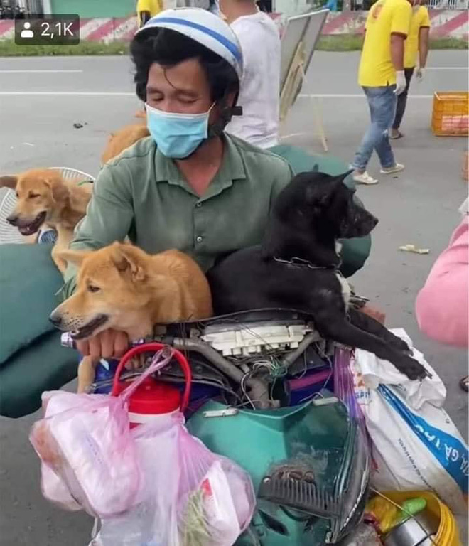 Cà Mau yêu cầu báo cáo vụ tiêu hủy 15 chú chó của cặp vợ chồng đi xe máy về quê tránh dịch Cà Mau yêu cầu báo cáo vụ tiêu hủy 15 chú chó của cặp vợ chồng đi xe máy về quê tránh dịch